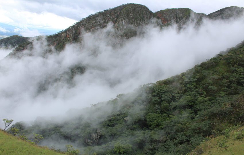 Mafinga Hills, Eastern Province, Zambia
